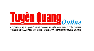 Thám Tử Tư 24h | Trang chủ Thám Tử Tư 24h|Trang chủ