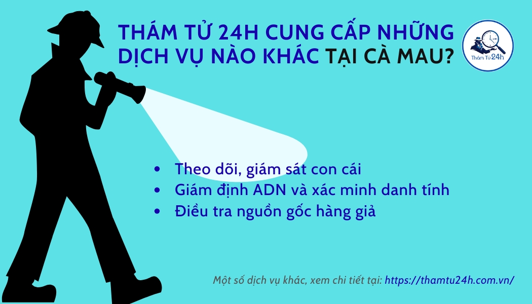 Các dịch vụ thám tử khác