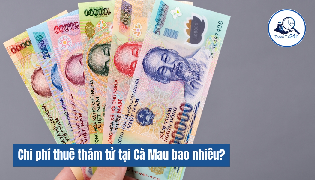 Chi phí thuê dịch vụ thám tử Cà Mau