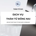 Dịch Vụ Thám Tử Đồng Nai Uy Tín, Hỗ Trợ Điều Tra Toàn Diện