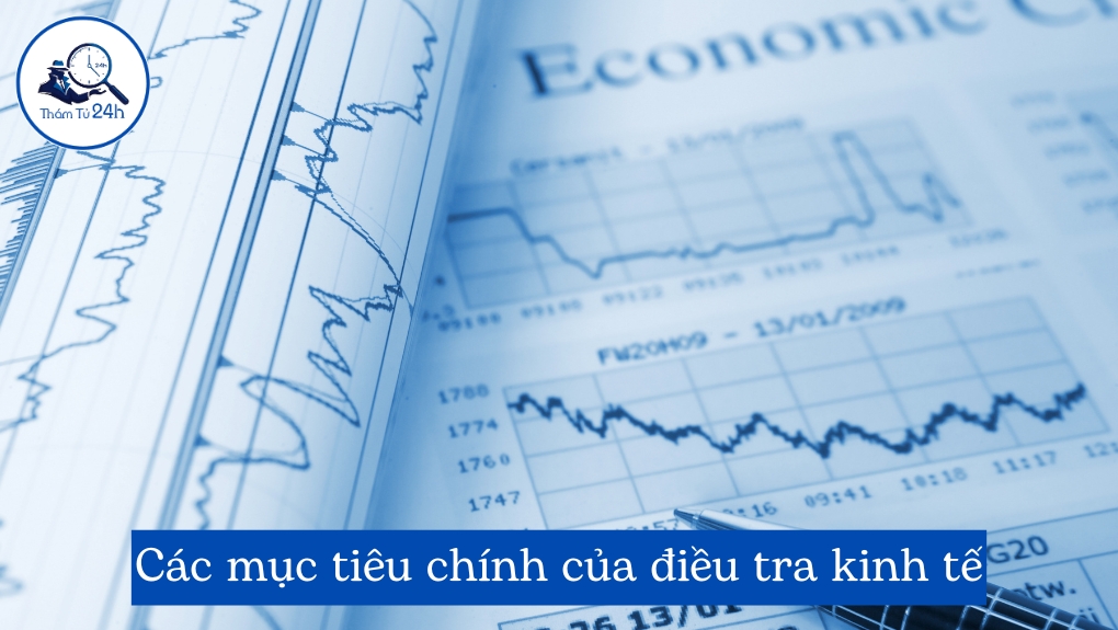 Các mục tiêu chính của điều tra kinh tế