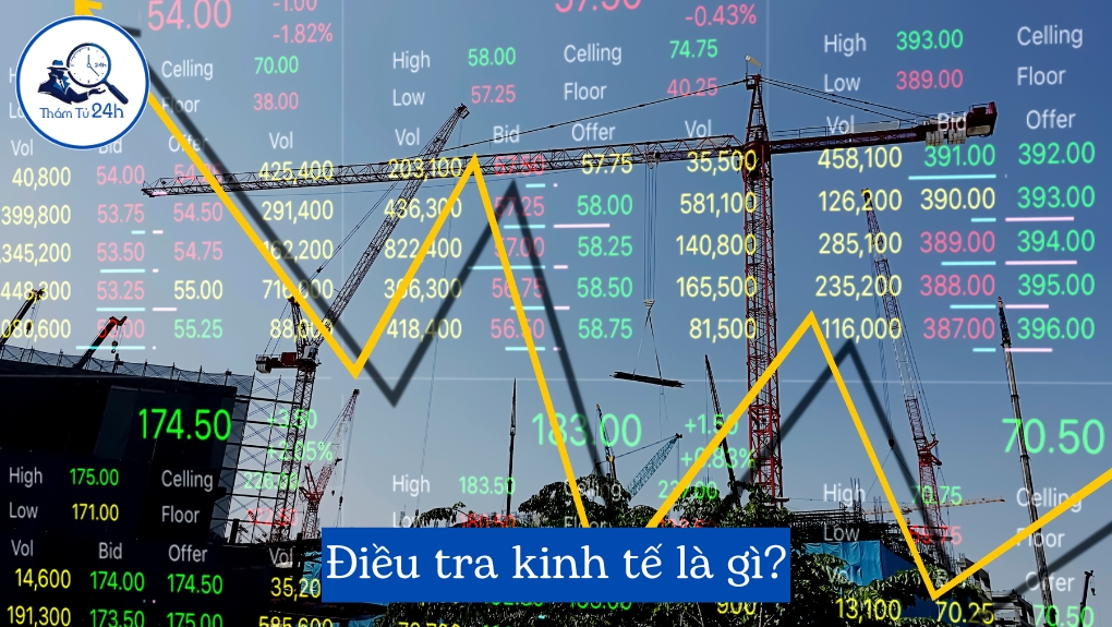 Dịch vụ điều tra kinh tế là gì?